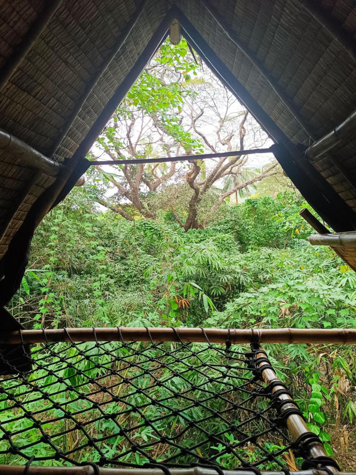Ecocio Jungle Hostel Coron Exteriér fotografie