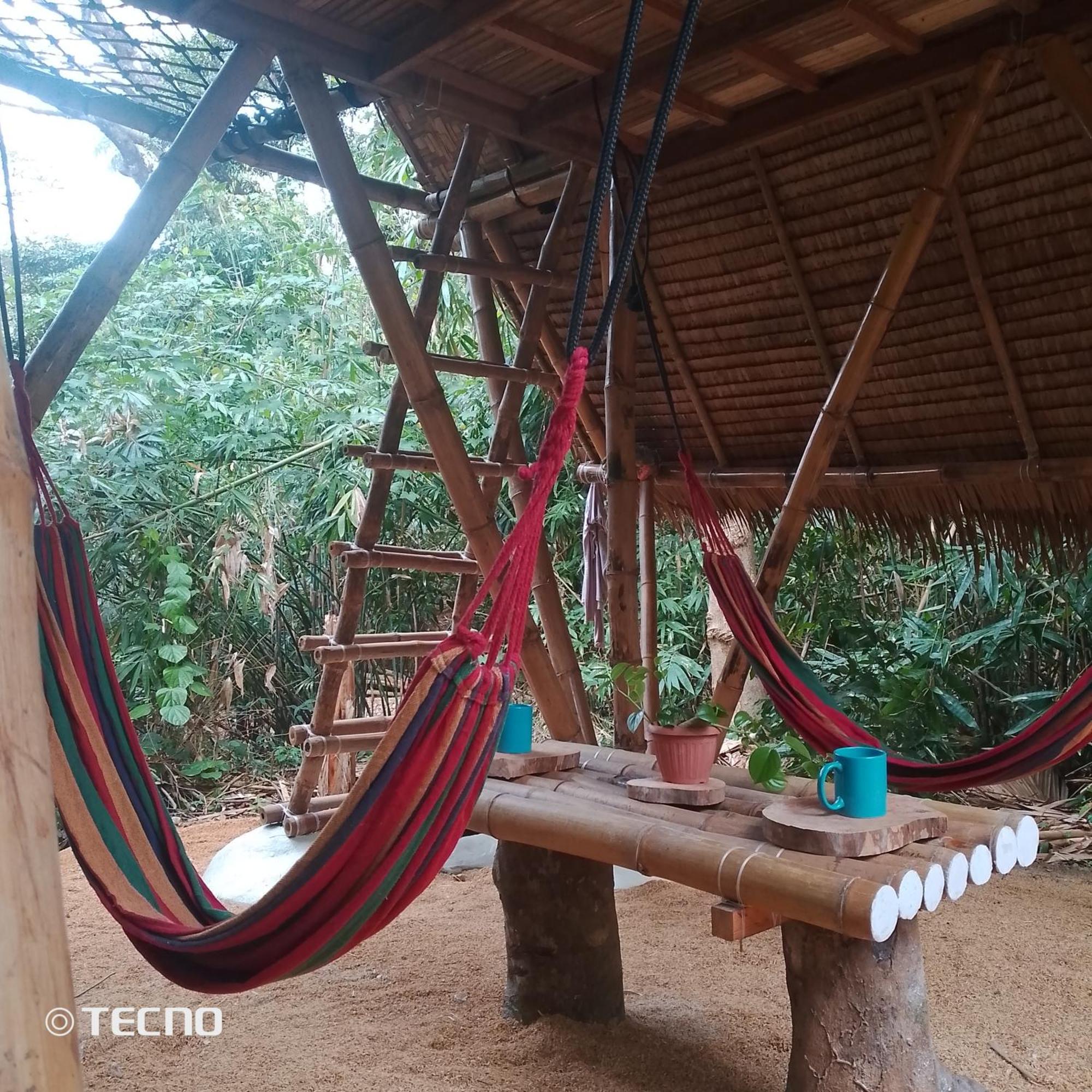 Ecocio Jungle Hostel Coron Exteriér fotografie