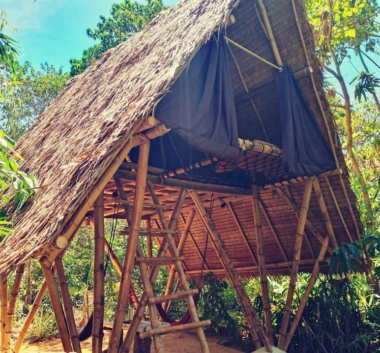 Ecocio Jungle Hostel Coron Pokoj fotografie