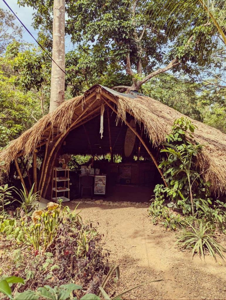 Ecocio Jungle Hostel Coron Exteriér fotografie